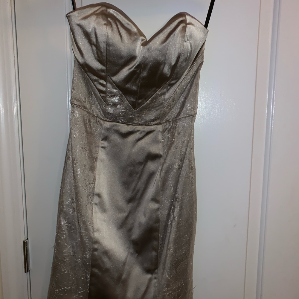 Silver dress